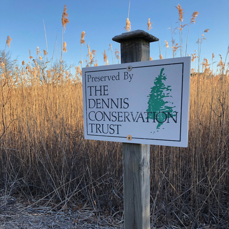 Dennis Conservation Land Trust Preserving open space in Dennis