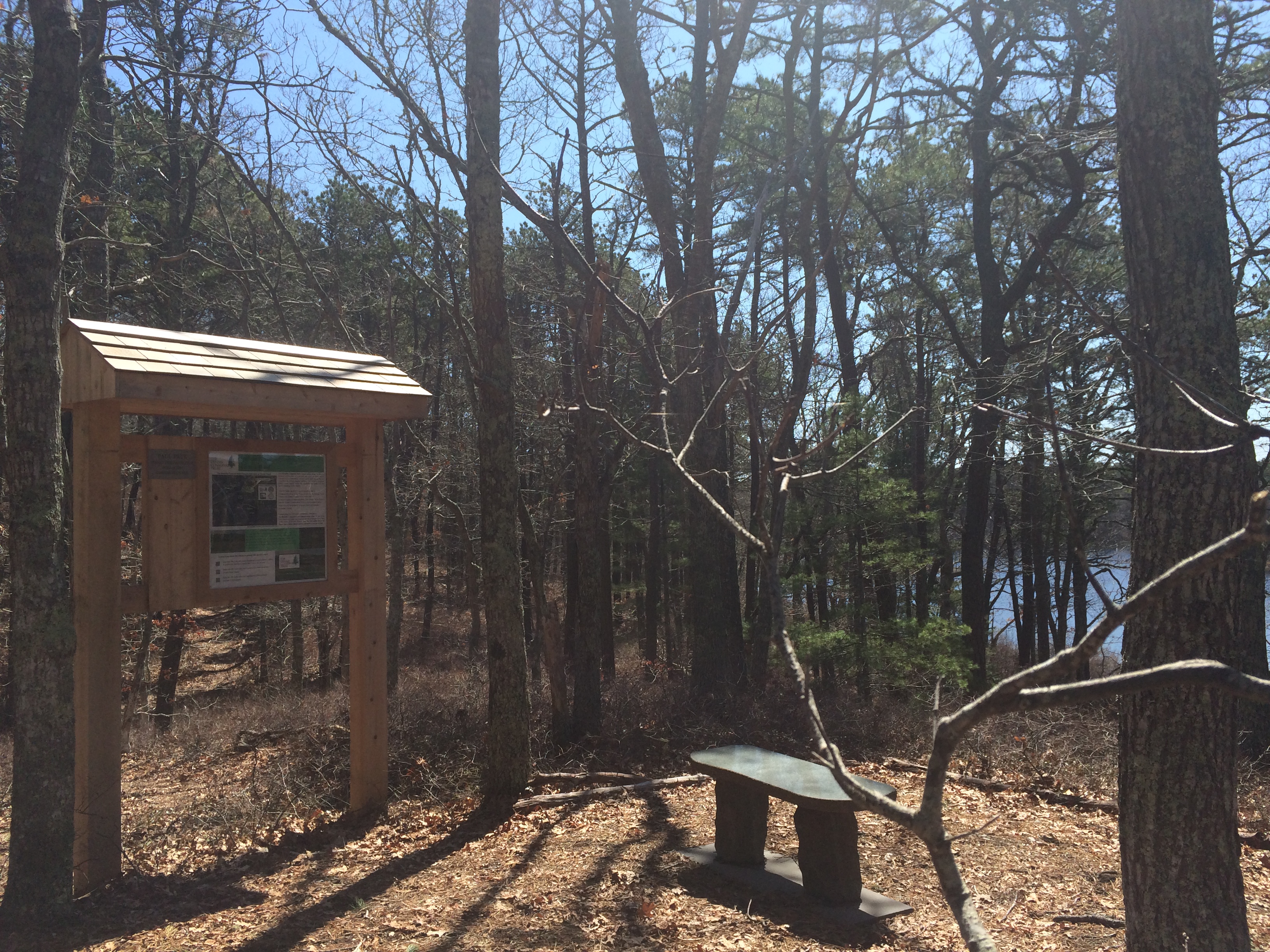 Dennis Conservation Land Trust Preserving open space in Dennis