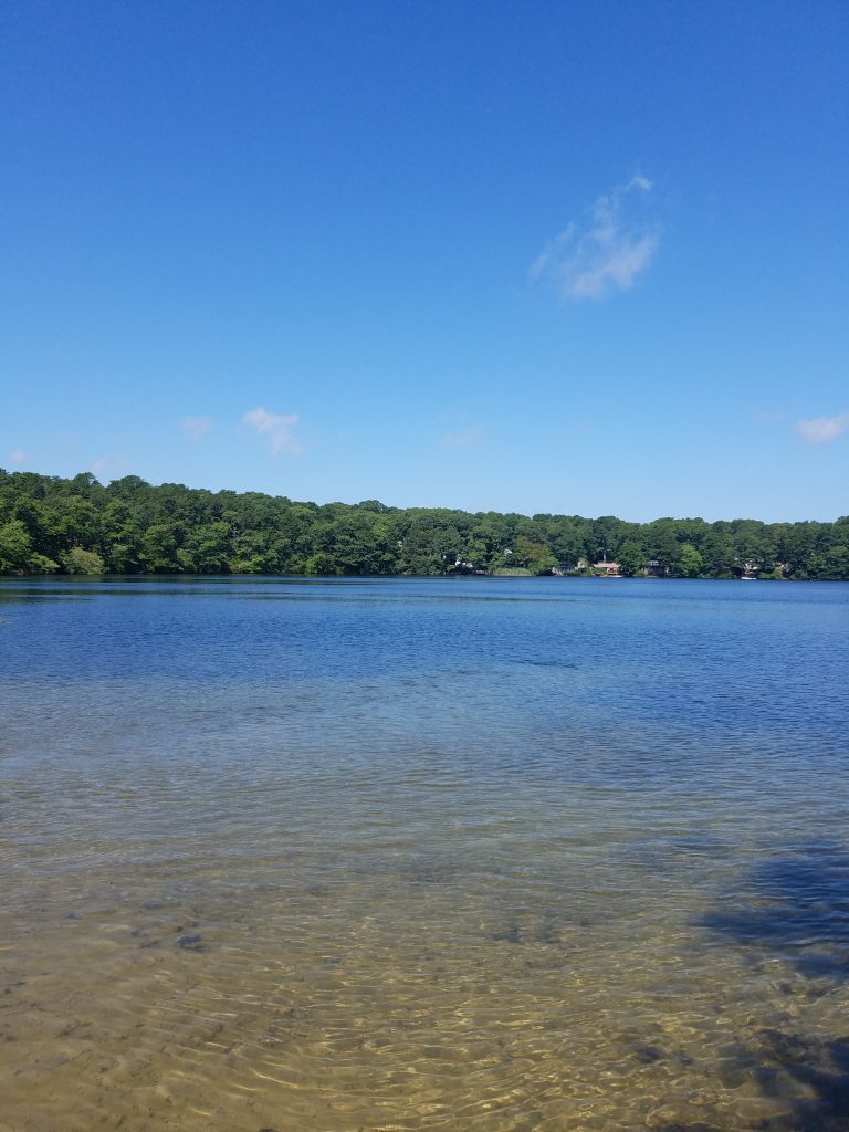 Guided Nature Walk at Flax Pond Conservation Area – Dennis Conservation ...