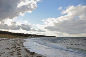 Crowes Pasture, beach view