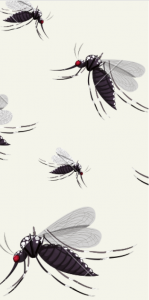 Hand-drawn mosquitos