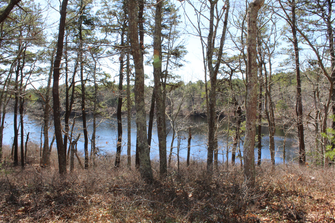 a Member Dennis Conservation Land Trust