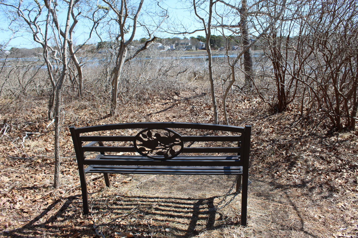 Bench and woods at Swan River conservation area