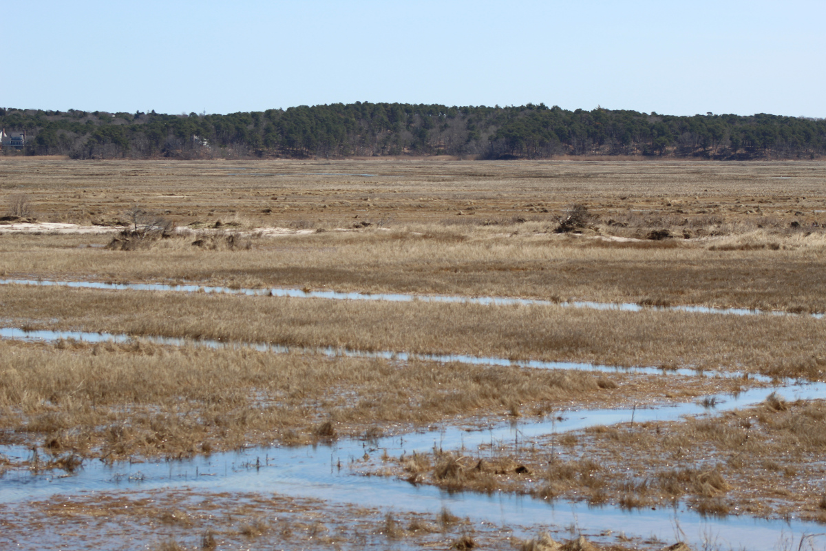 View of creek winding through marshland