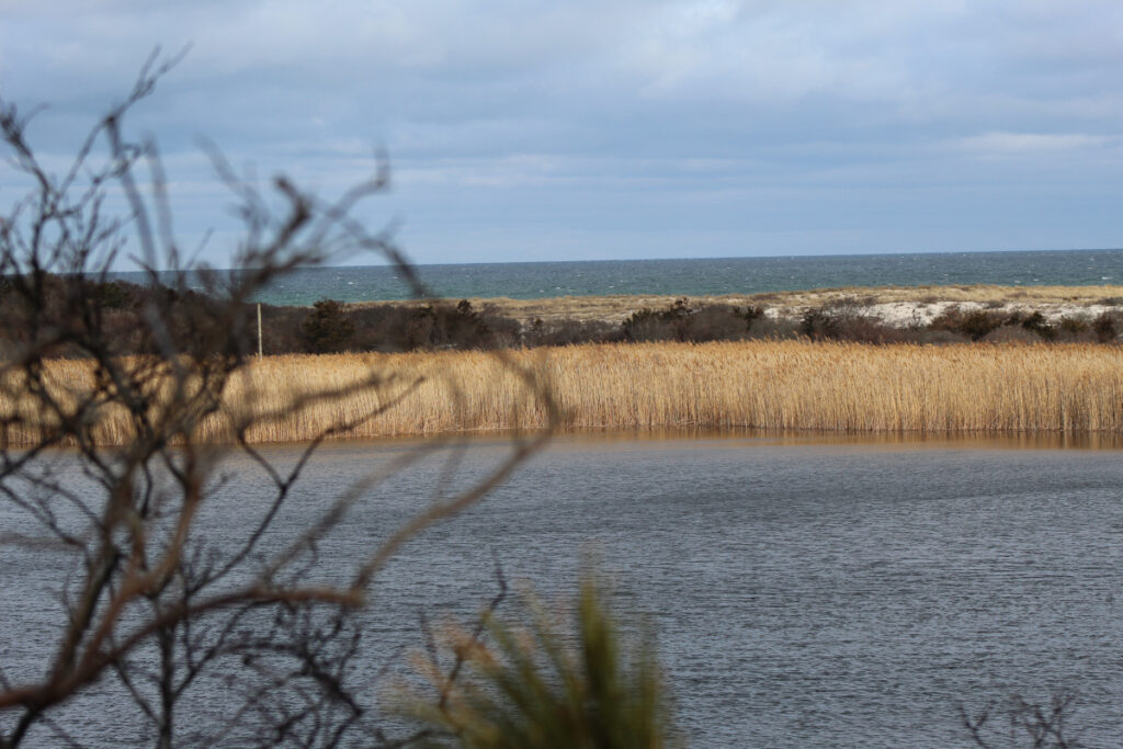 Coles Pond from a distance