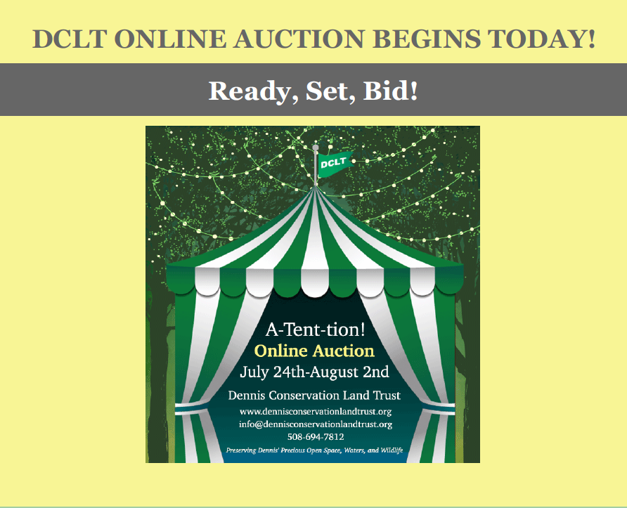Graphic for online auction