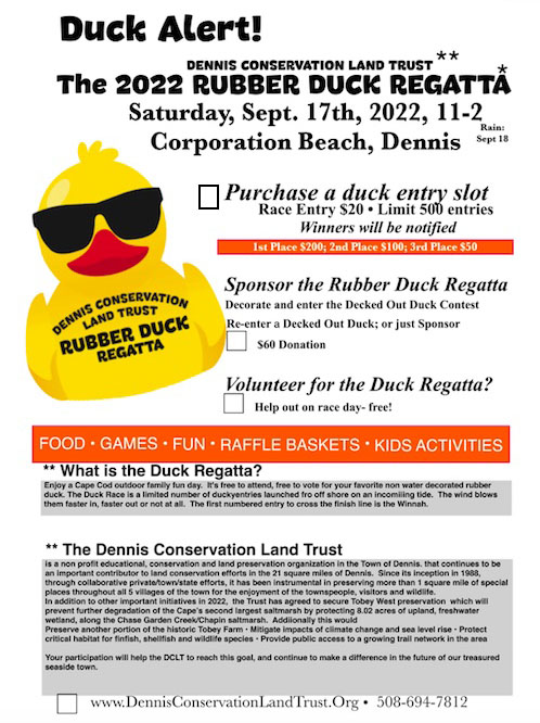 rubber duck regatta entry and sponsorship form