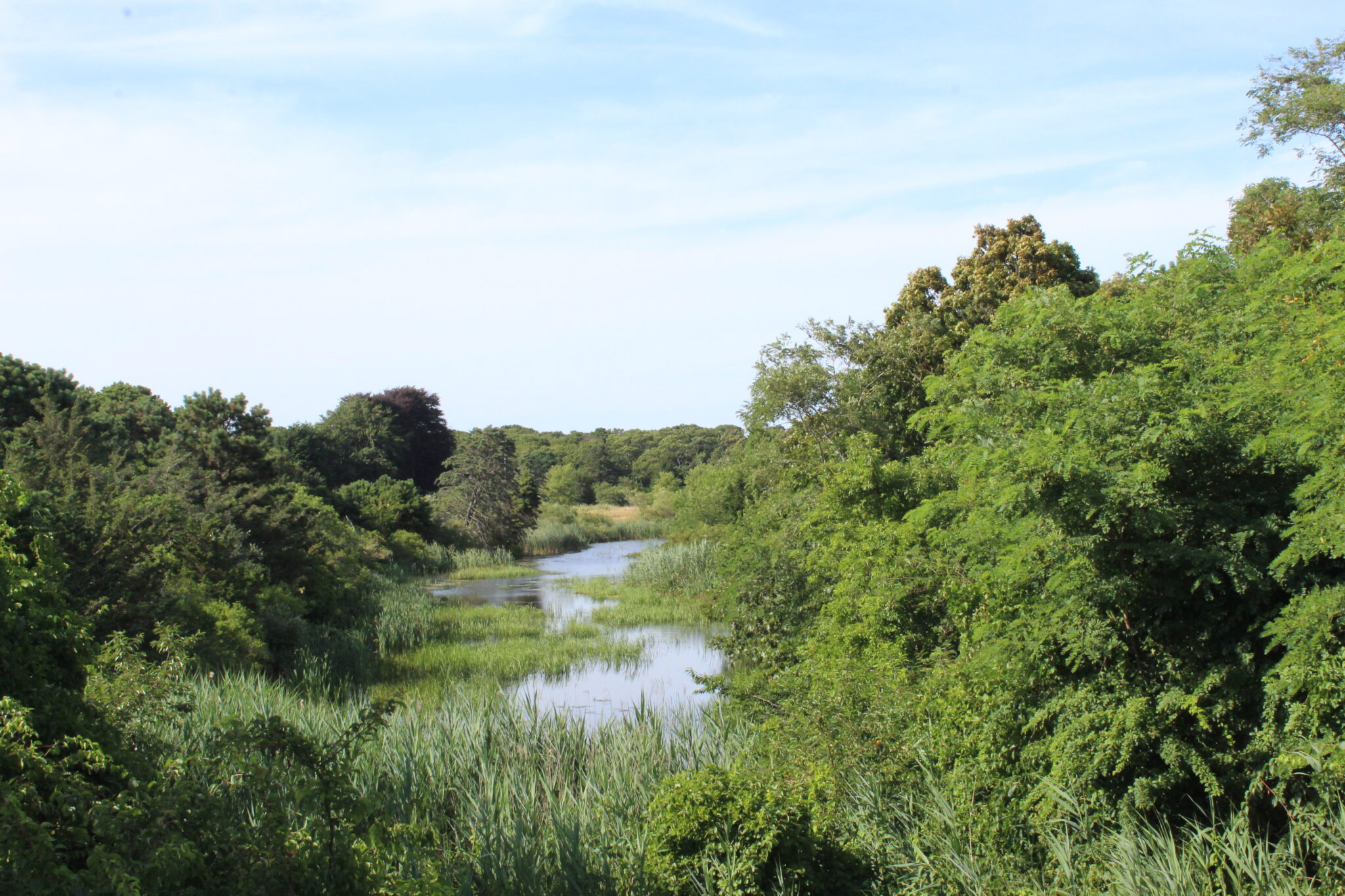 Dennis Conservation Land Trust Preserving open space in Dennis