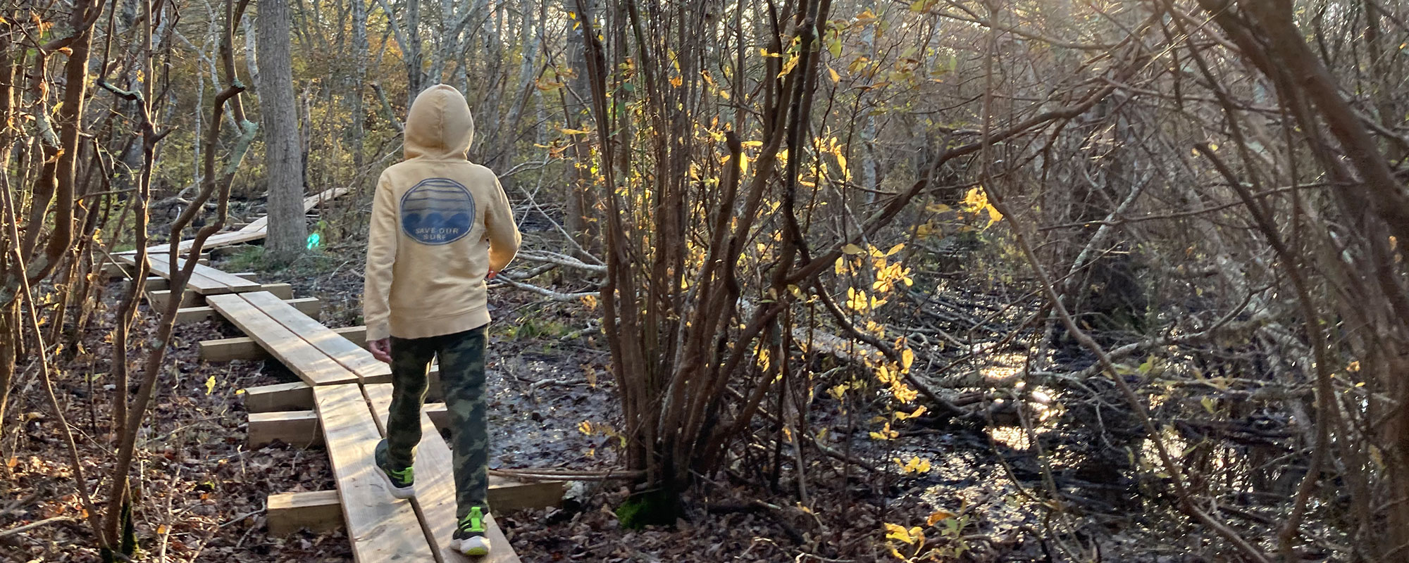 Coles Pond Walk