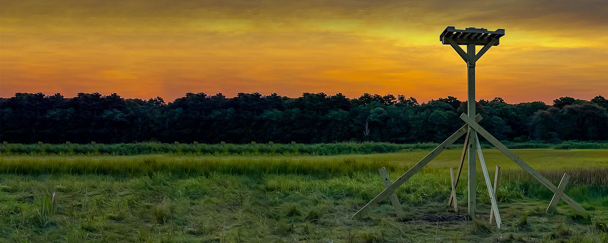 Tobey Woodlands Osprey Pole at sunset