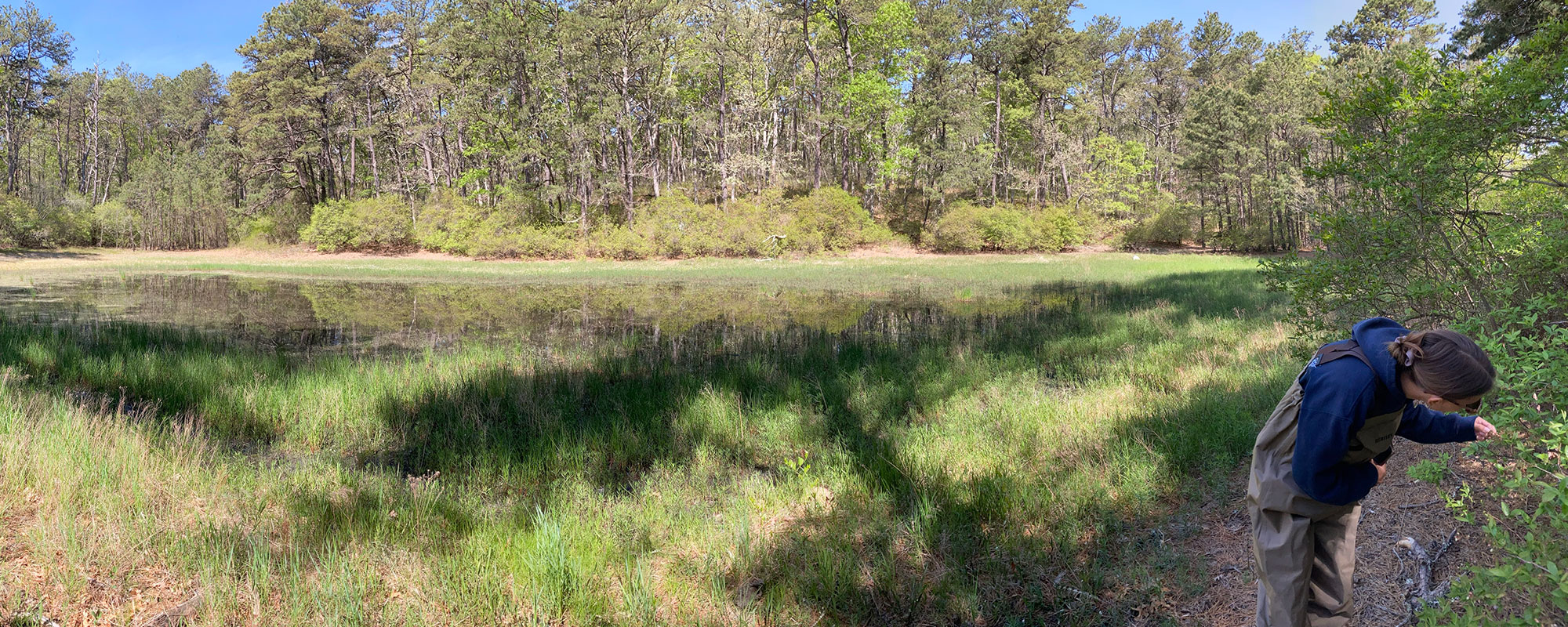 Our Work Land Conservation Dennis Conservation Land Trust