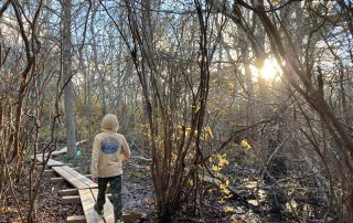Autumn walk at Coles Pond Bog