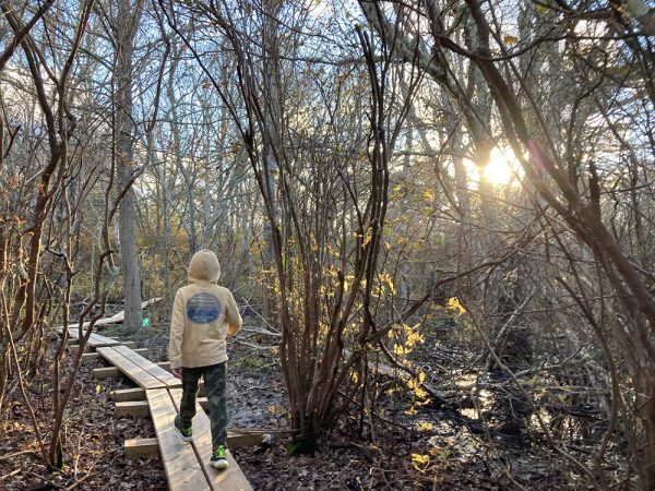 Autumn walk at Coles Pond Bog