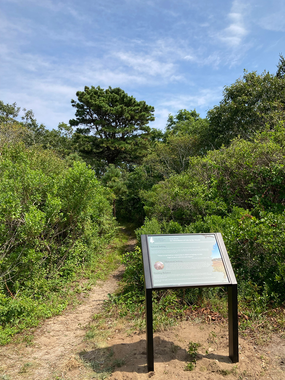 swan river overlook trail entrance