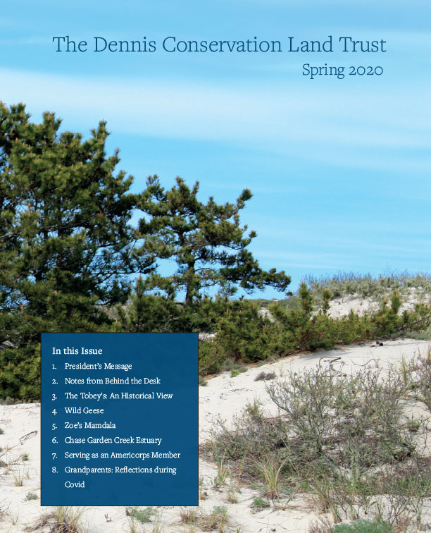 DCLT Spring 2020 Newsletter