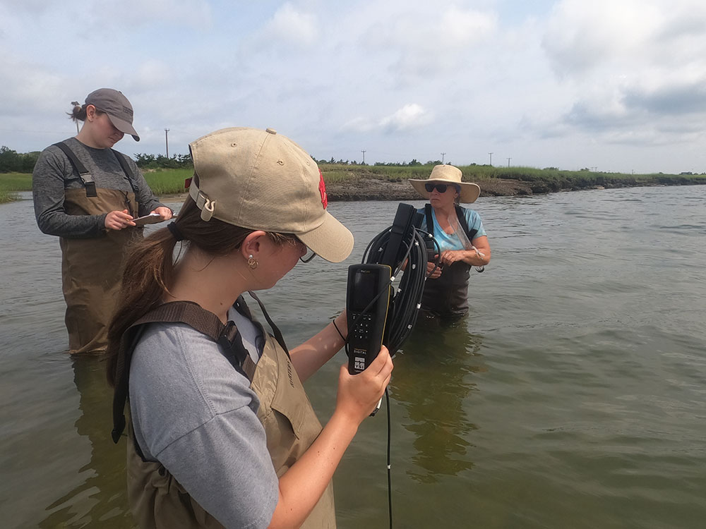 Community Science Dennis Conservation Land Trust