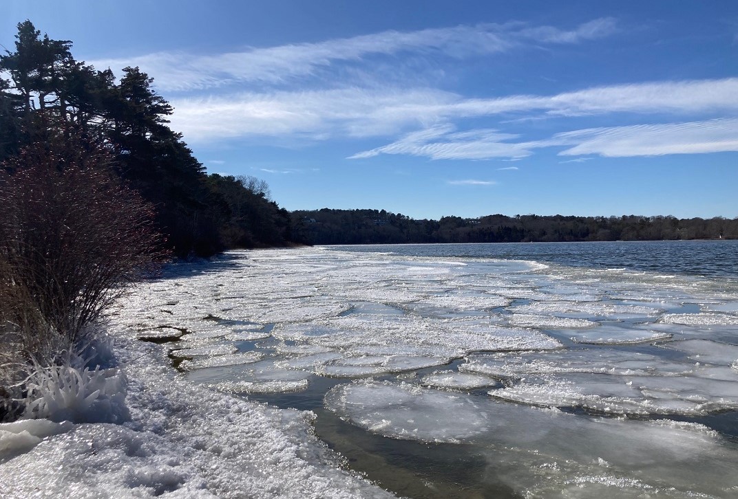 ice floats on top of scargo lake in winter