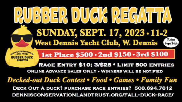 Rubber Duck Regatta