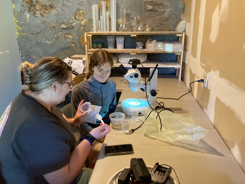 kayly and molly help one another using DCLT's microscope.