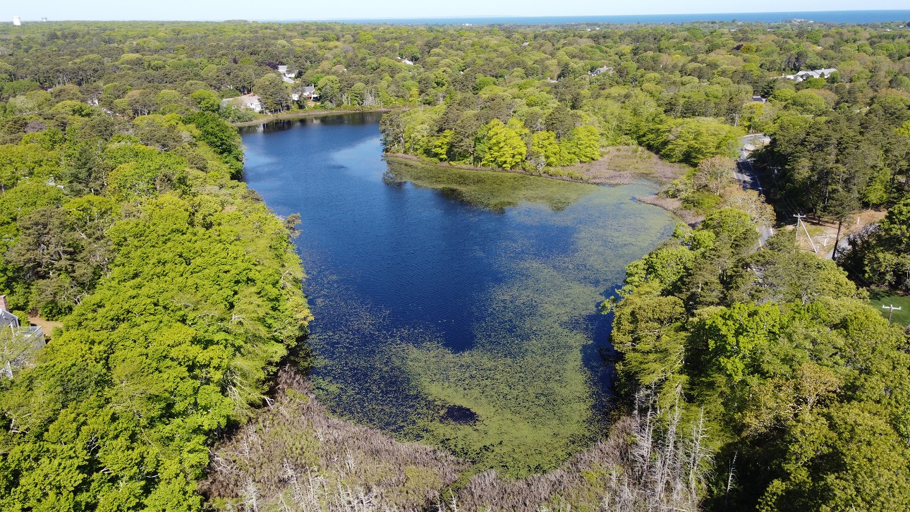 Aerial image of Cedar Pond