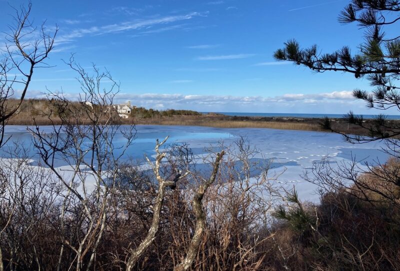 Coles Pond – Dennis Conservation Land Trust