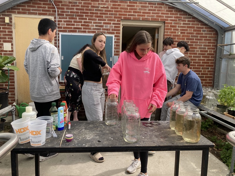 students set up their pond jars, or microcosms