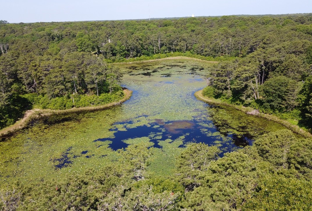 Aerial photo of Aunt Pattys Pond.