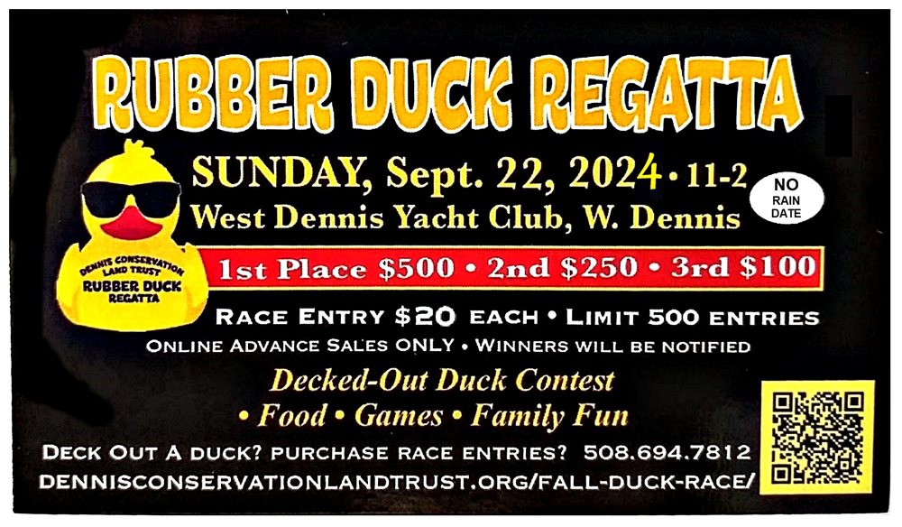 Rubber Duck Regatta
