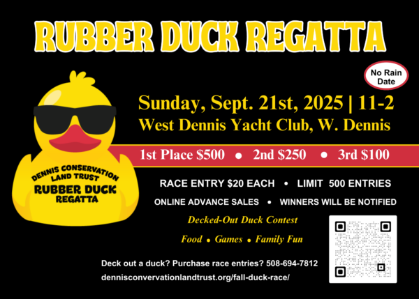 Rubber Duck Regatta