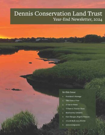 Dennis Conservation Land Trust Newsletter