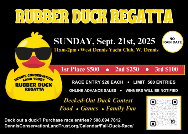 Rubber Duck Regatta