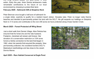 front cover of 2025 summer newsletter