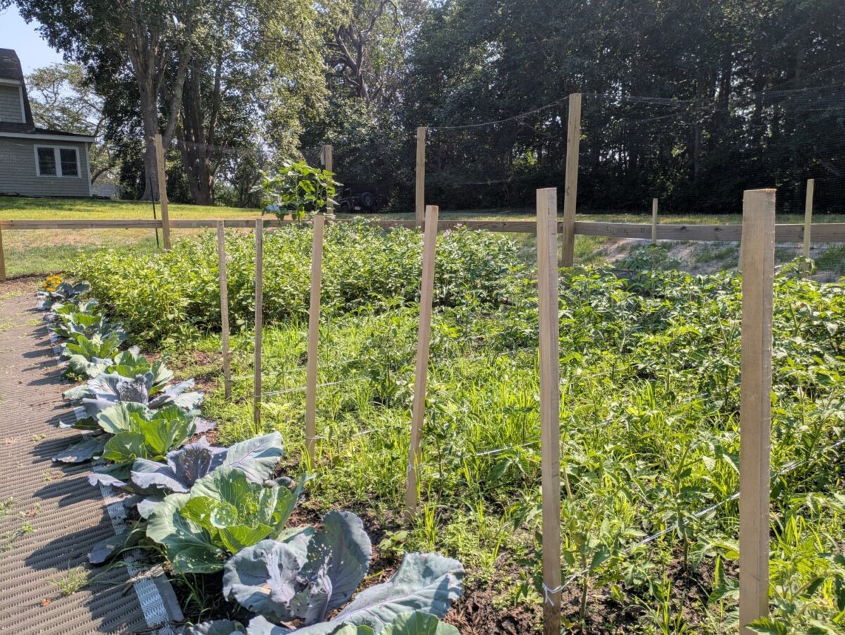 Not Enough Acres Farm – Dennis Conservation Land Trust