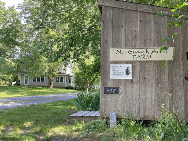 Dennis Conservation Land Trust
