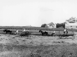 Untitled design Farming tradition