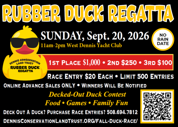 Rubber Duck Race Website Banner